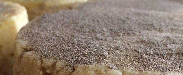 Dégustons… le fromage aux Artisous ! 🧀