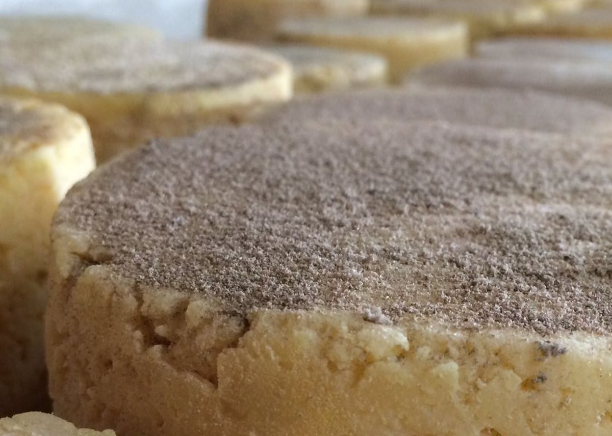 Dégustons… le fromage aux Artisous ! 🧀