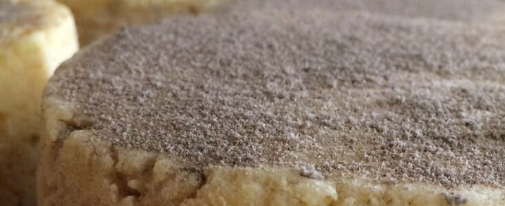Dégustons… le fromage aux Artisous ! 🧀
