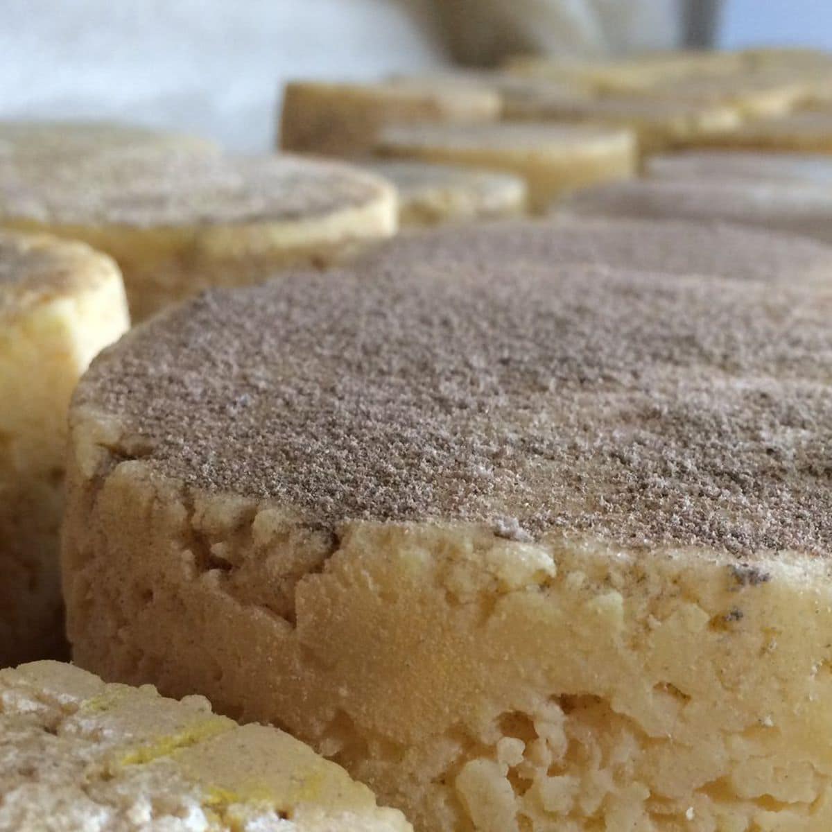 Dégustons… le fromage aux Artisous ! 🧀