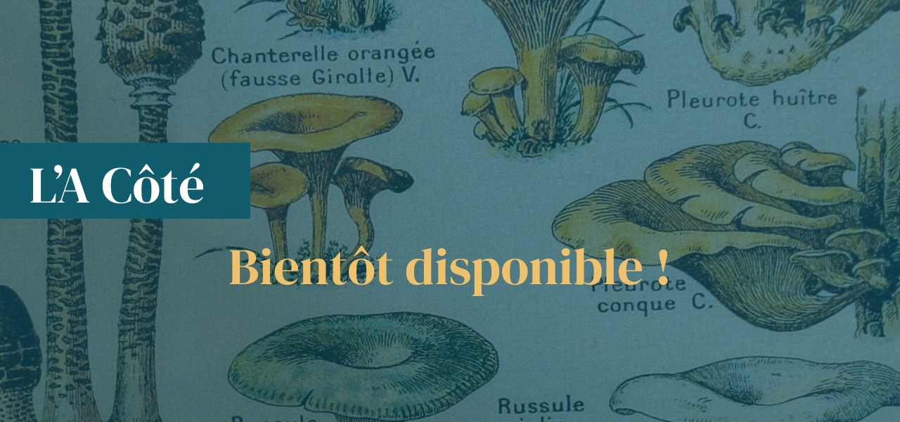 Notre gite l'a Côté