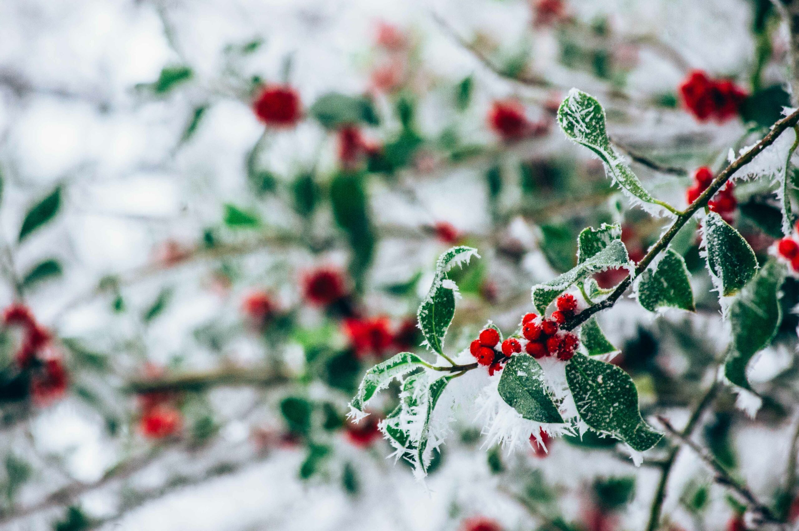 L&rsquo;échappée à l&rsquo;heure d&rsquo;hiver ❄️